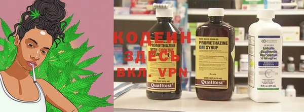 шишки Пестово