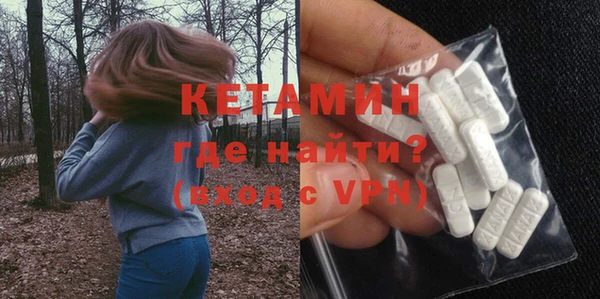 шишки Пестово
