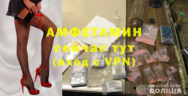 шишки Пестово