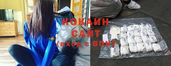 шишки Пестово