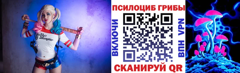 наркошоп  Тайга  Псилоцибиновые грибы MAGIC MUSHROOMS 